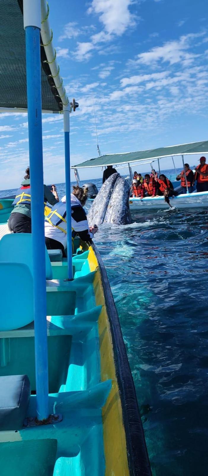 Hotel- Whale Tours And Sport Fishing Vista Mag-Bay Puerto San Carlos Exterior photo