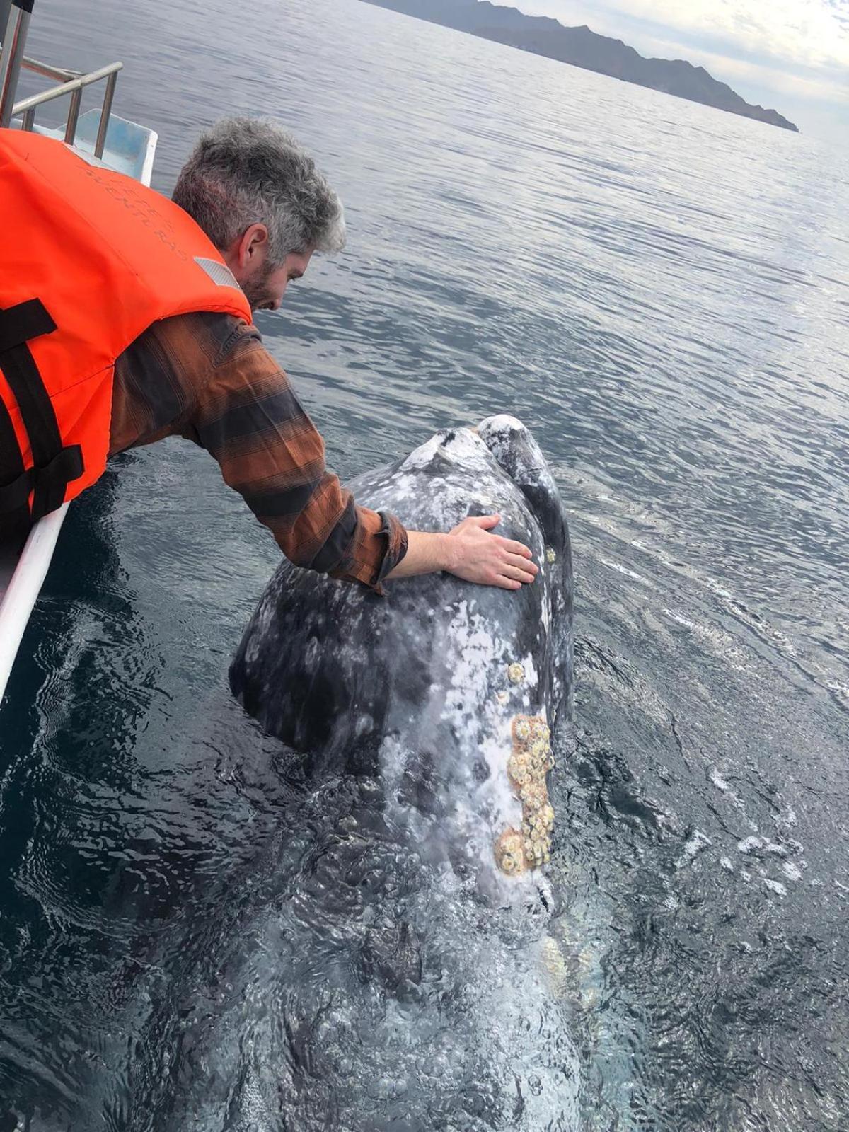 Hotel- Whale Tours And Sport Fishing Vista Mag-Bay Puerto San Carlos Exterior photo